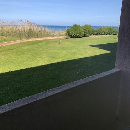 Corsica Studio Face A La Mer Moriani Plage Apartment San-Nicolao Ngoại thất bức ảnh