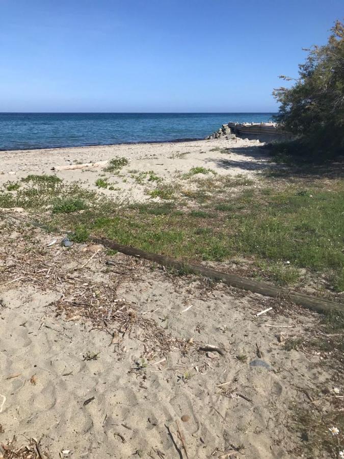 Corsica Studio Face A La Mer Moriani Plage Apartment San-Nicolao Ngoại thất bức ảnh